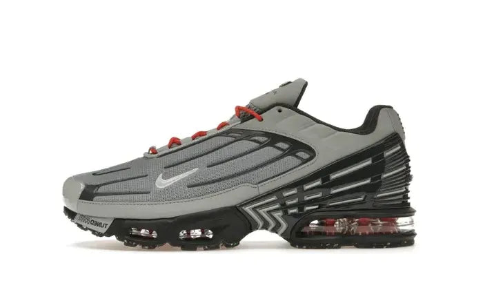 Nike Air Max Plus Light Smoke Gray Metallic Silver – Hypedfam