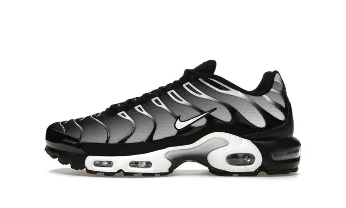Nike Air Max Plus Black Silver White