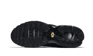 Nike Air Max Plus Triple Black - 604133-050