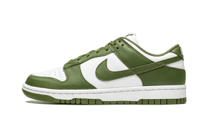 Nike Dunk Low Medium Olive - DD1503-120 - Hypedfam