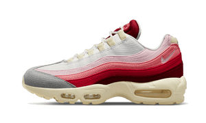 Nike Air Max 95 Anatomy of Air