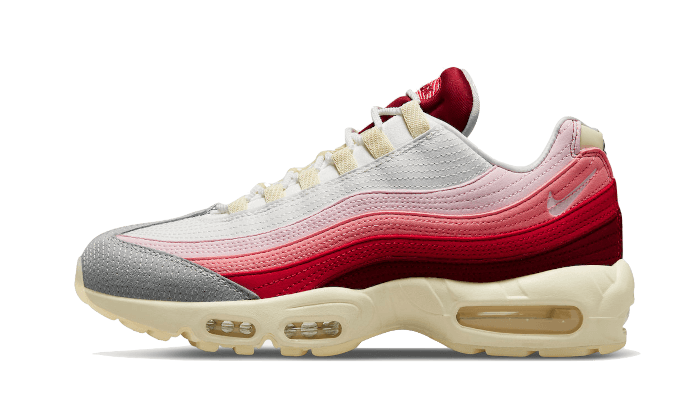 Nike Air Max 95 Anatomy of Air