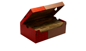 Nike Air Max 95 SP Corteiz Sequoia